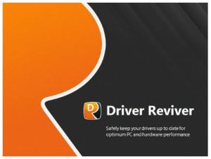 driver reviver crack